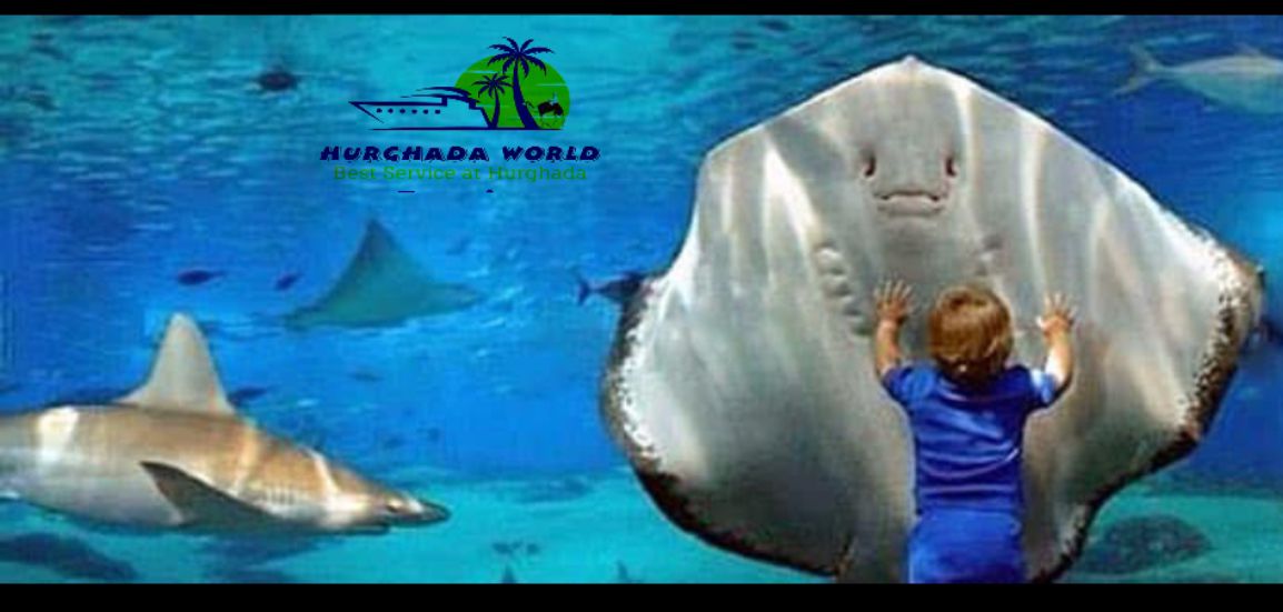 Aquarium