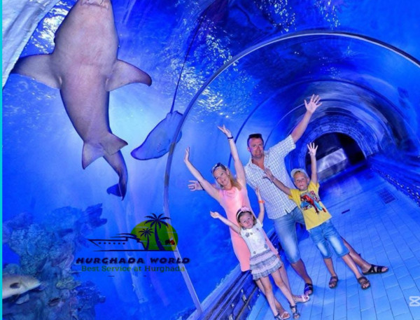 Aquarium